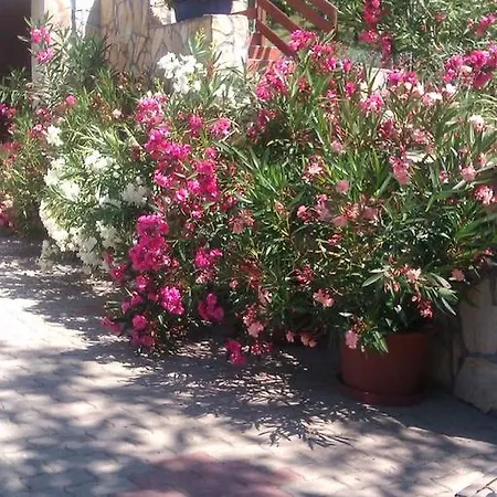 Anna Mediterran Vendeghaz Guest house